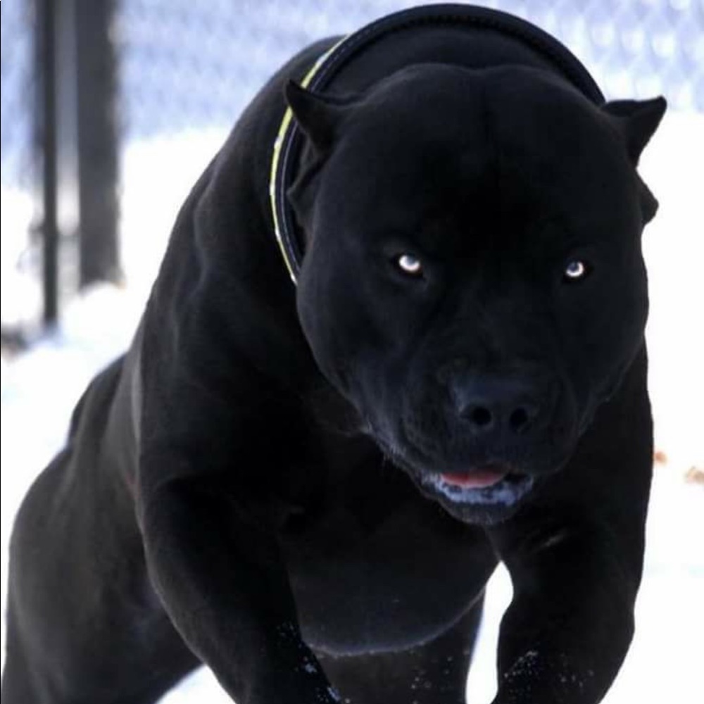 Meet your Posher, Mark